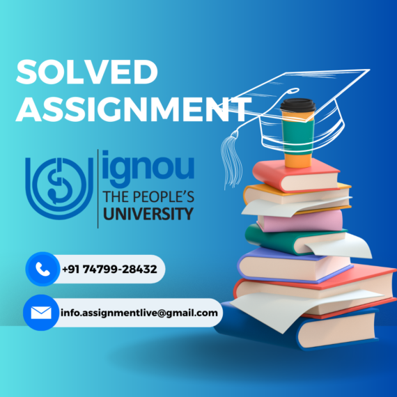 Solved Assignment (1)